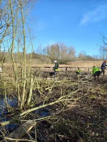 Our green gym volunteers helping to coppice different widths of willow at the start of the spring season to use for fencing along the board walk and weaving on other areas of the site.