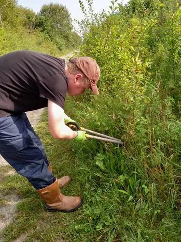 One of our volunteers using loppers to cut out new growth of 'blackthorn' which is an invasive species that we manage closely at Monkton. 