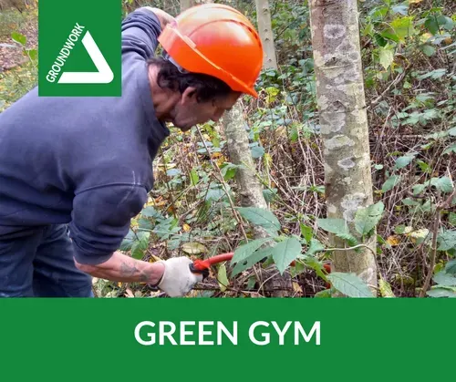 One of our volunteers felling a dead tree using taught tree felling techniques at our Monkton Community Woodland Green Gym.