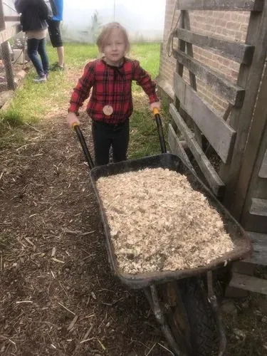 Bull grooming
