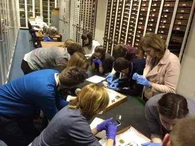 A group taking part in a hands-on object handling session, examining historic artefacts from the Museum’s collection.