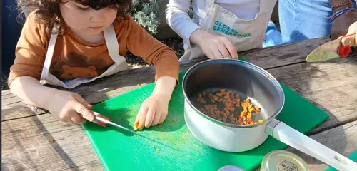 making seed bombs